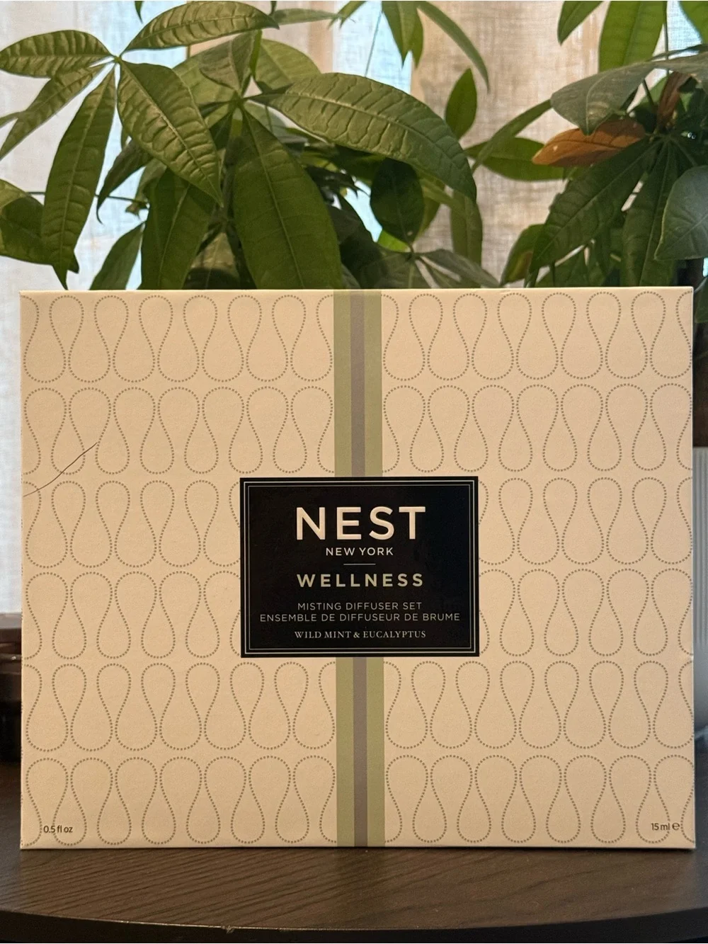 NEST New York Wellness Misting Diffuser Set – Mint & Eucalyptus | NIB✨